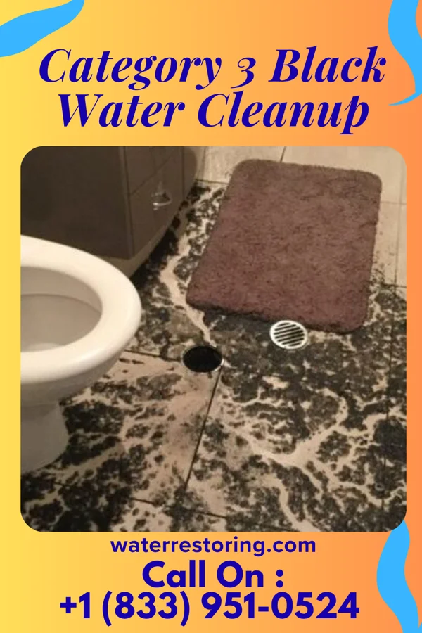 Category 3 Black Water Cleanup in Valparaiso, FL